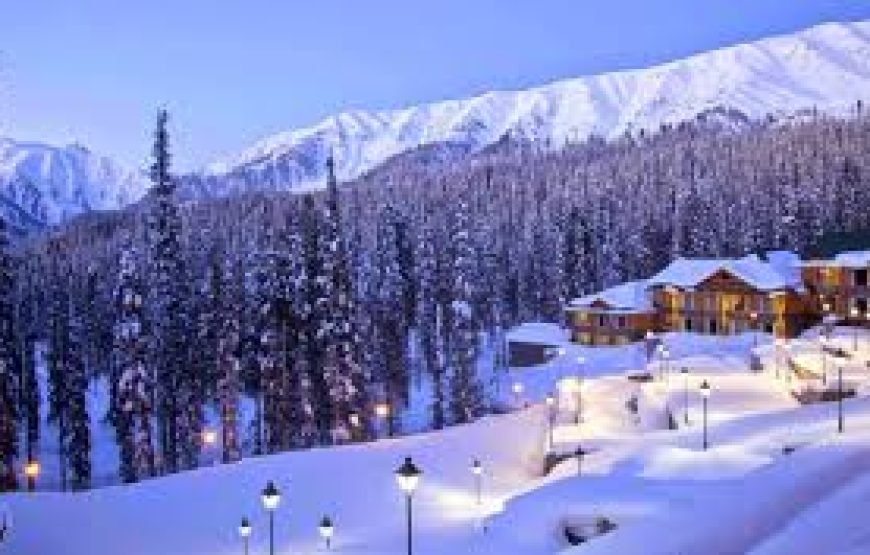 Kashmir Winter Wonderland  5N/6D